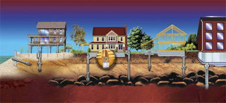 Illustration for article titled Rising Waters Are Spawning a New Breed of Cyborg Architecture